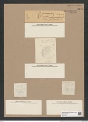 Melosira semilaevis Grun. (de-Toni-Nr.: Genus 213) Zeichnungen Sammlung Grunow Nr. 9275 (NHMW-BOT-W0379072)